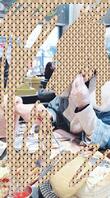 爱上了我的后妈2