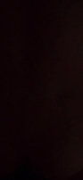 后入白领长腿