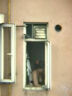 上次用激光笔晃了一下她，好像被吓到了，窗帘也不开了，今天又被我抓到了