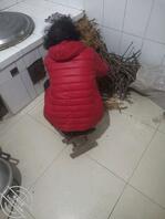 真实乱伦 兄弟们我没事说说我和婶子的近况1