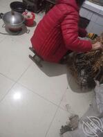 真实乱伦 兄弟们我没事说说我和婶子的近况2