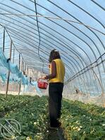 骚逼舅妈换脸视频