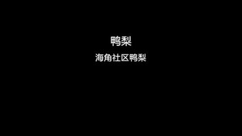 鸭梨金币视频日常更新