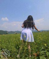汉中油菜花快凋谢完了，带女朋友去看油菜花了。