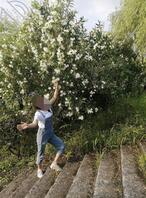 想和妈妈共入爱河2