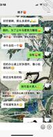 我唐寅的舅妈1