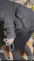遛狗骚妇，有没有更骚的紧身裤骚逼？2