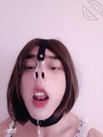 今天是一只发情的母猪0