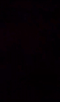 疫情之后的放纵