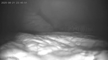 NightVersionofSexyWife