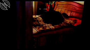 上高中的弟弟放学趁哥哥睡午觉在厨房与嫂子乱伦肏逼。