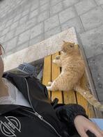 【欣欣日记】010.和男友清明去生殖中心看医生,背着男友在医院漏出2