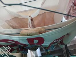 新搬来偷窥女邻居内衣1