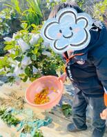 [原创内容]101.小外甥放假了带他到农庄摘水果，可高兴了。0