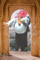 （原创）嫩逼女儿 已成年 十四贴0