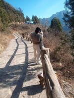 【原创】我要干我亲姐姐2