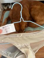 隔壁养狗少妇的内衣内裤1