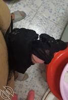 骚货大嫂二嫂子的小内裤好香啊1