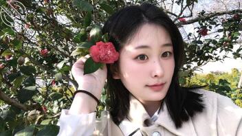 求大佬射屏返图