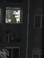 骚货一个 勾引人
