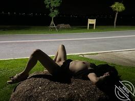 骚妻露出,评论出你的武器,骚妻会舔0