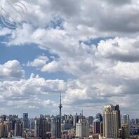 哈尔滨找少妇骚货，偷情，已婚妇女，阿姨都可以，本人身高185，有点小颜都