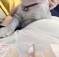 楠楠撸猫的一天~~0