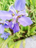 想让儿子满足老婆