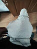 我的反差婊妹妹1