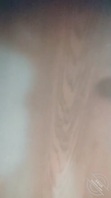 出租屋高中生妹妹居然要奖励我……