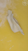 关于上个视频内容中我妈包的那个精液馅饺子！2