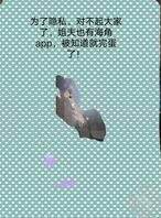 姐姐,我爱你0
