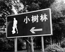 山东临沂河东区，找姐姐或者阿姨2