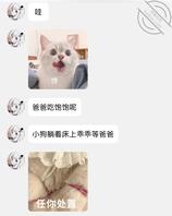 母狗高中0