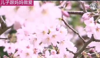 儿子操妈妈