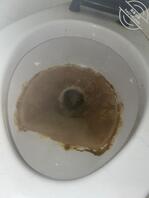 加料 求大神给给建议0