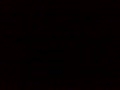冒死偷拍。最后被发现了。