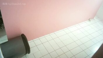 转载厕拍48
