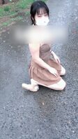 【兰宝小狗雨中散步】
