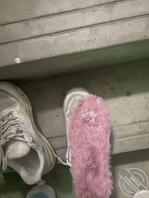 打胶骚货同学的鞋子2