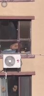 无敌的邻居
