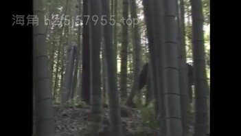 妹妹和哥哥在野外分别，在野外被陌生男子盯上后，将妹妹掐晕后，实施侵犯。
