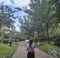 哈尔滨绿母儿 贡献熟母2