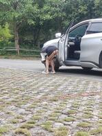 路边抽烟，这美女是故意勾引我吗？