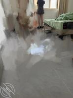 想上妹妹