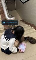 把老妹强奸了2