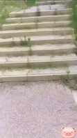 和大奶嫂子一起出去户外玩耍，趁四下无人直接抠逼喷水开干