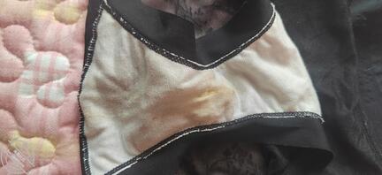 表姐的原味内裤