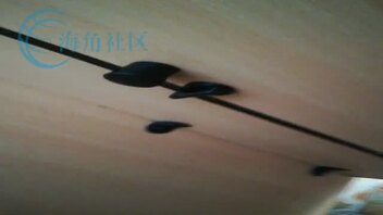 偷拍嫂子上厕所