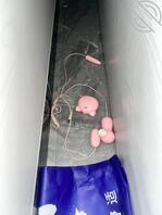 表妹越长越成熟漂亮 大神帮我支支招0